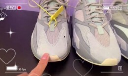 一只椰子爆料视频下载,下载过程大公开