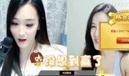 抖音王霖爆料女主播视频,揭秘网络直播背后的真相