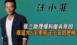 助理爆料汪小菲视频,助理爆料背后的惊人真相