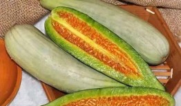 网红韩格婧吃瓜图片高清,高清美照引网友热议